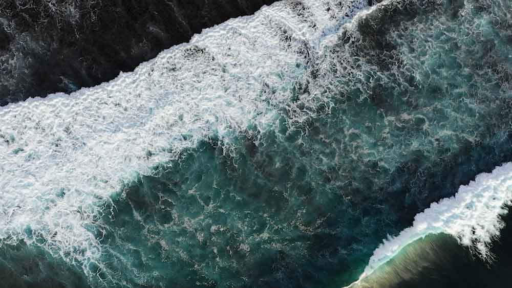 ContentCopy thumbnail